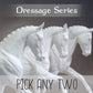 Dressage Series -  2 Horse Bundle