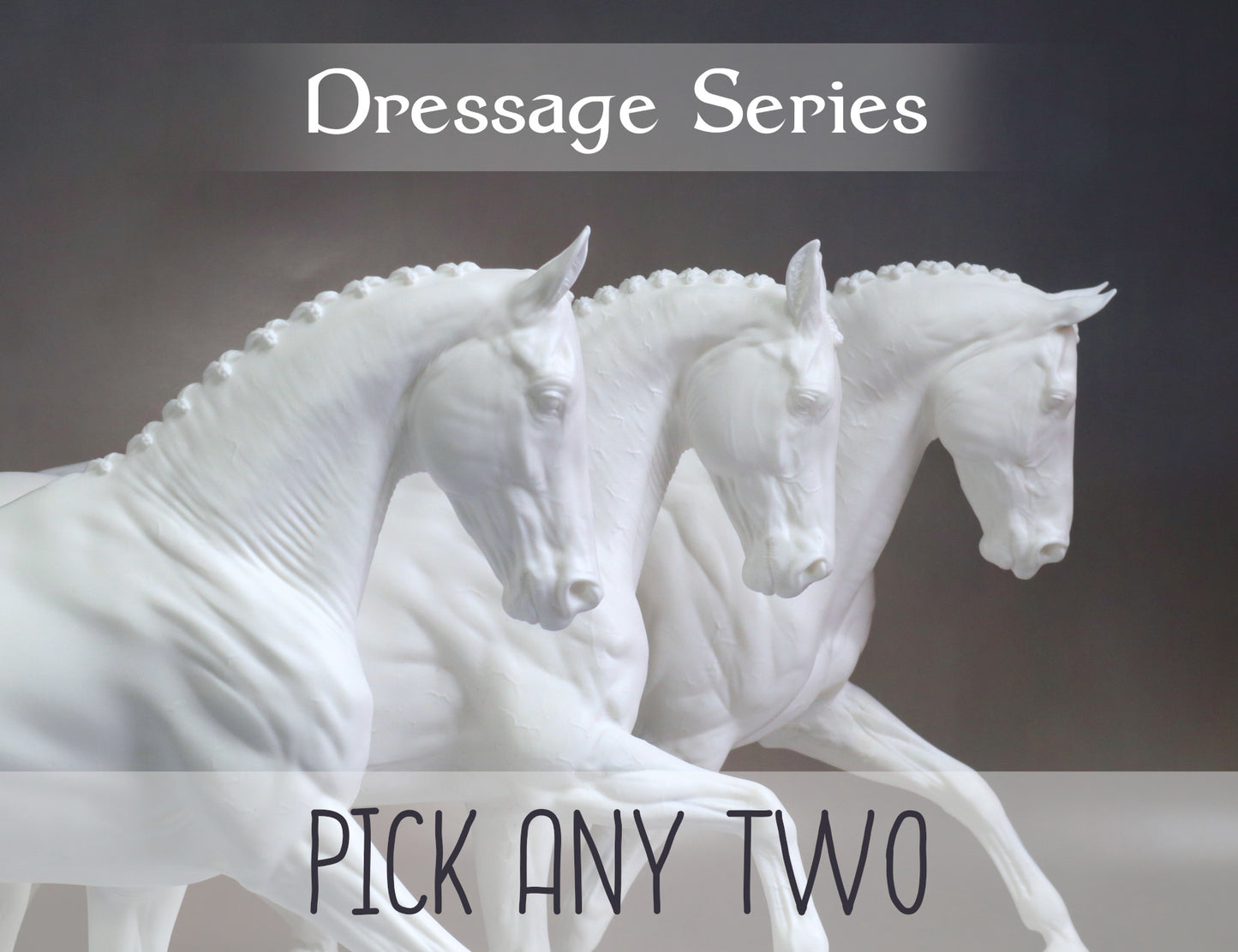 Dressage Series -  2 Horse Bundle