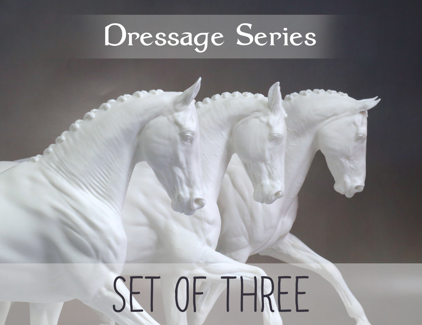 Dressage Series -  3 Horse Bundle